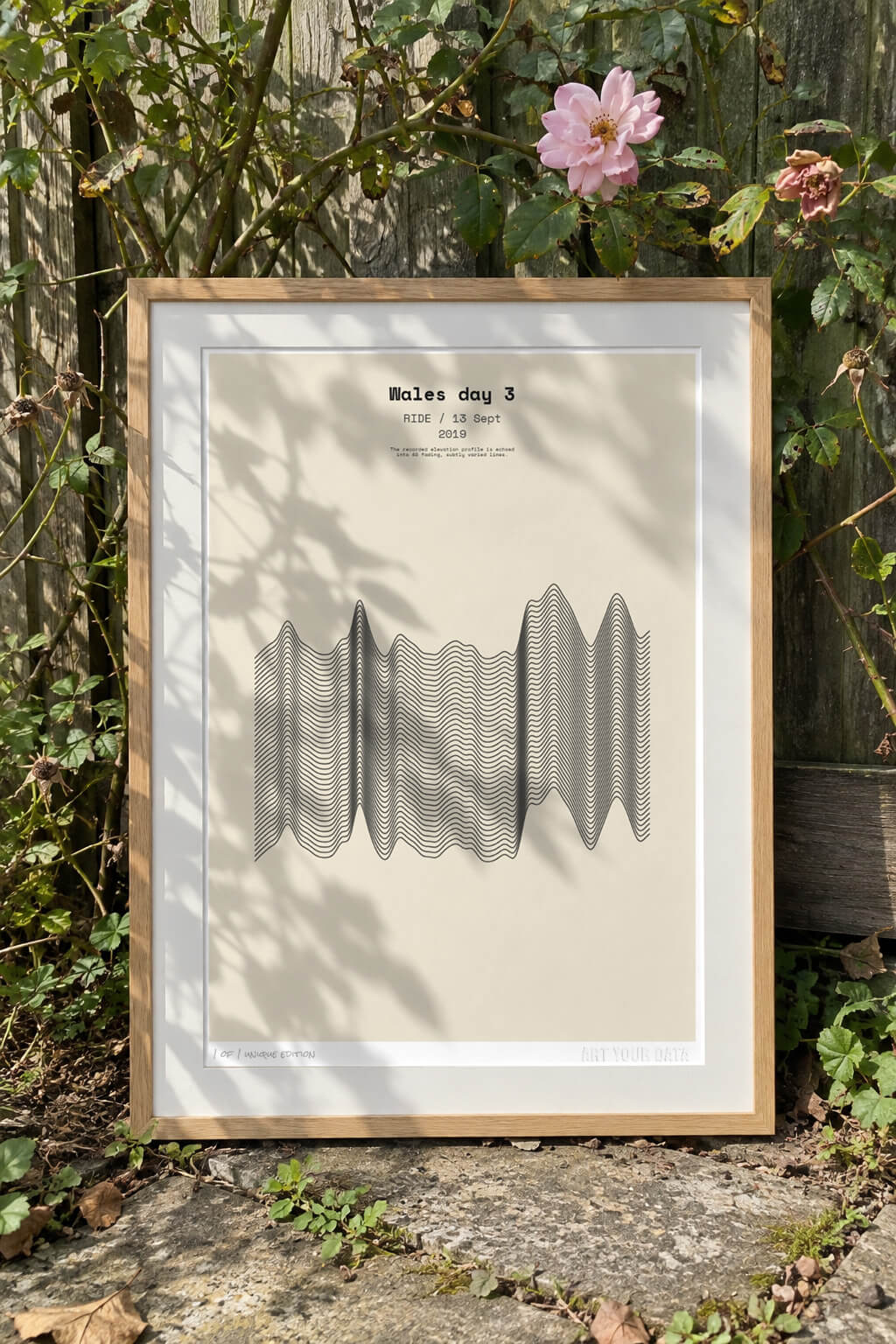 Wavy artwork framed in an outdoor garden